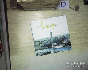 音像制品的悠扬魅力 除了唱片，你还能杂项收藏！
